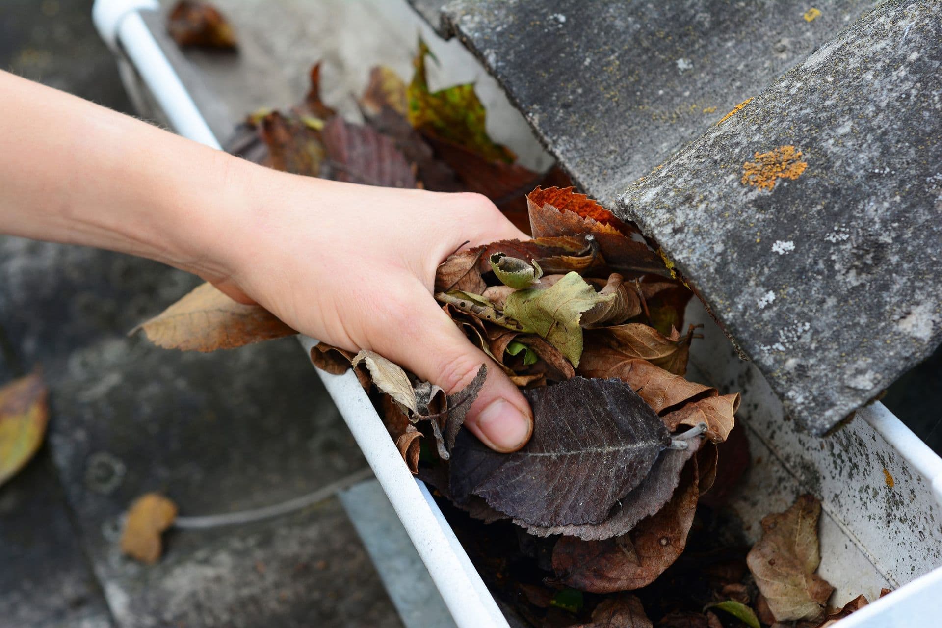 best-gutter-systems-muncie-in-scaled