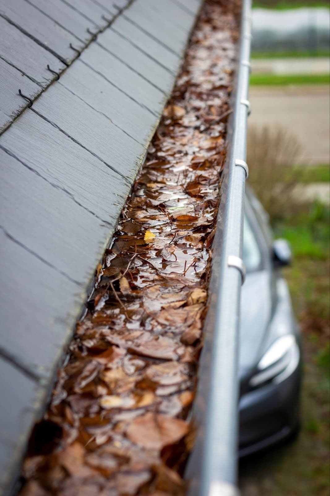 leaf-filled-gutter-muncie-in